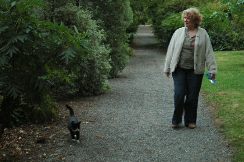 Diane Harrington, Bothy cat