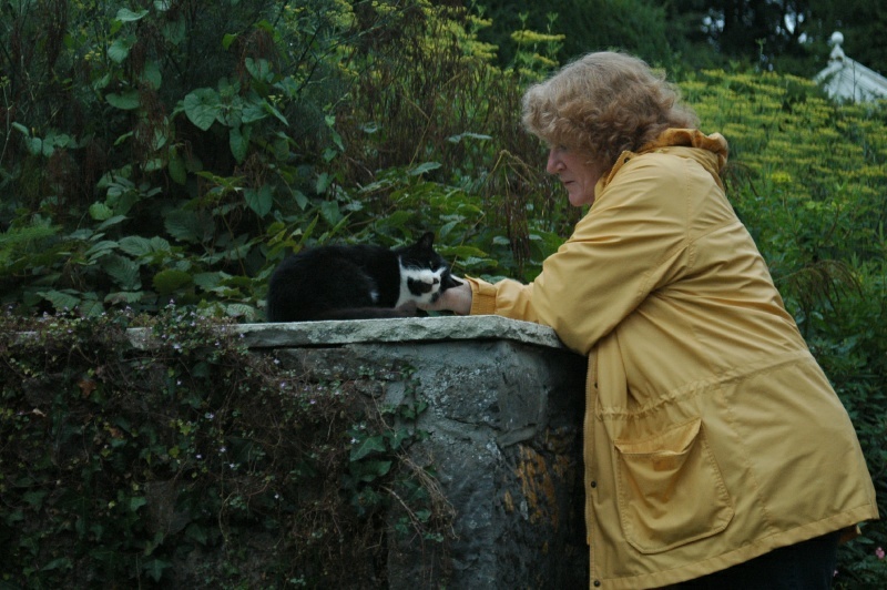 Diane Harrington, Bothy cat