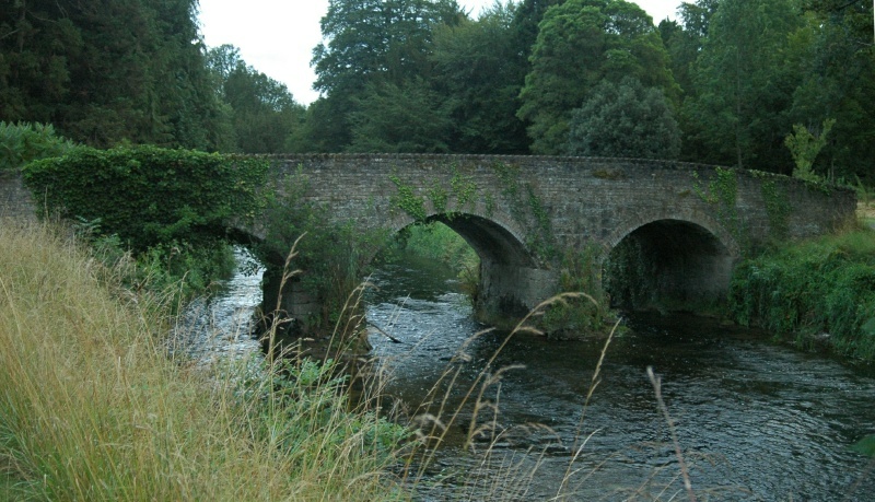 Birr Castle Demesne, bridge