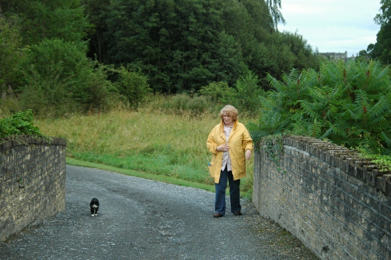 Birr Castle Demesne, Diane Harrington, Bothy cat, bridge