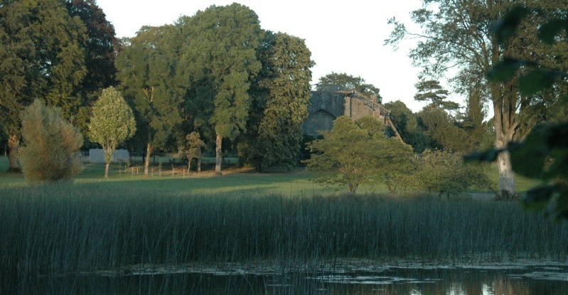 Birr Castle Demesne, leviathan